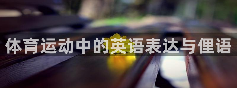 米兰体育官网下载平台假的吗是真的吗吗：体育运动中的英