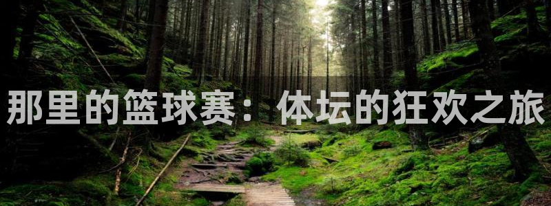 米兰体育官方正版app娱乐下载：那里的篮球赛：体坛的