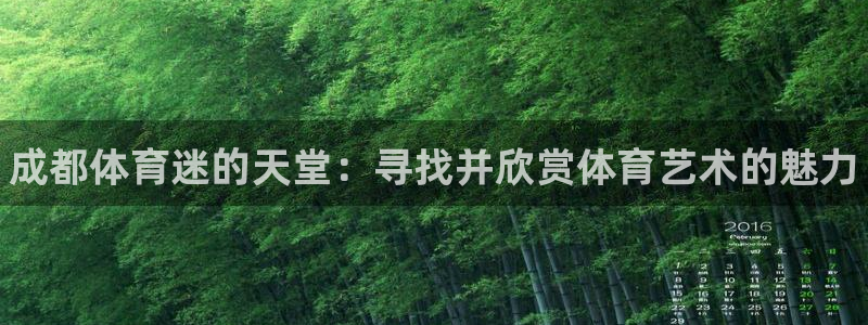 米兰体育官网下载平台注册流程视频：成都体育迷的天堂：