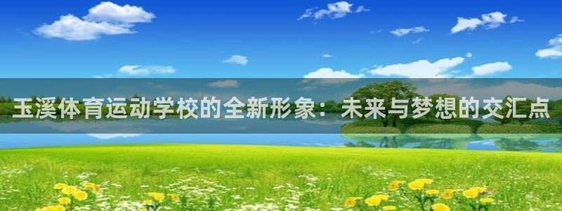 米兰体育官方正版app集团E.ON：玉溪体育运动学校