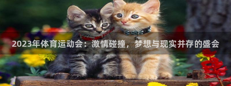 米兰体育官方正版app集团官网首页：2023年体育运