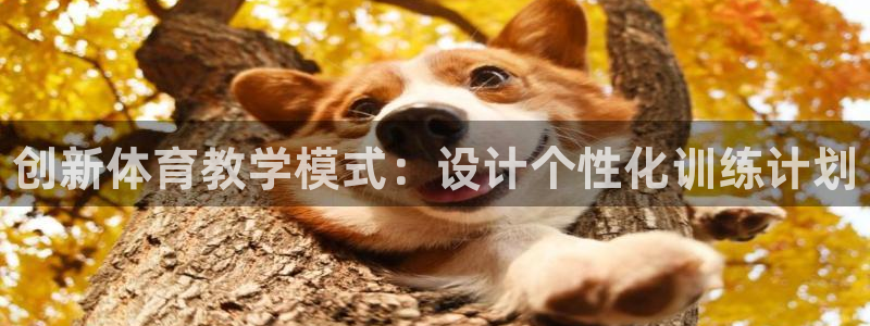 米兰体育官方正版app官网：创新体育教学模式：设计个