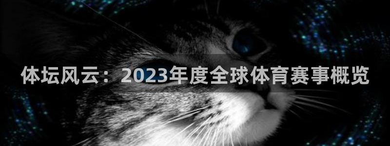 米兰体育官方正版app集团：体坛风云：2023年度全