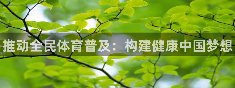 米兰体育官方正版app集团官网首页：推动全民体育普及：构建健