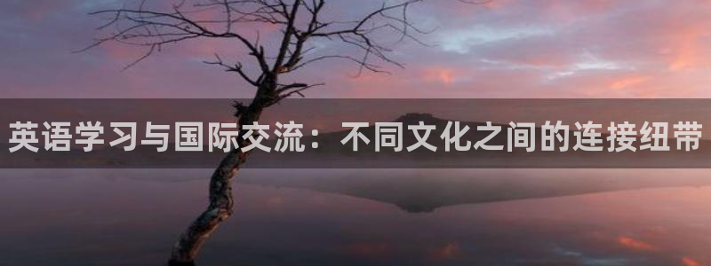 米兰体育官方正版app娱乐网站：英语学习与国际交流：不同文化
