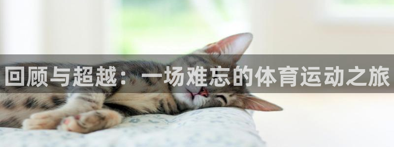 米兰体育官方正版app集团logo：回顾与超越：一场难忘的体