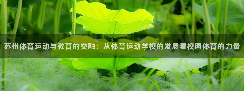 米兰体育官网下载软件：苏州体育运动与教育的交融：从体育运动学