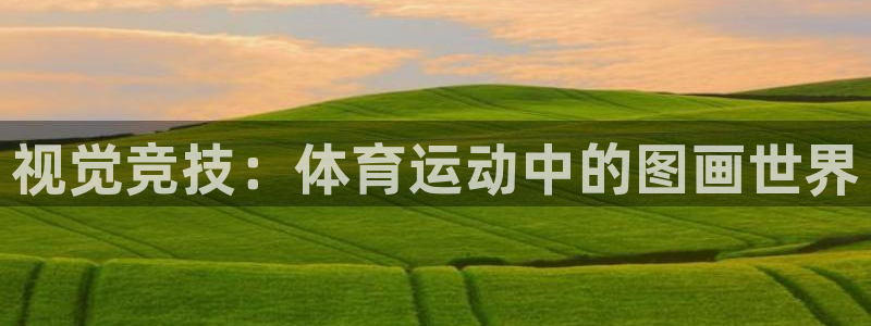 米兰体育官网下载招商：视觉竞技：体育运动中的图画世界