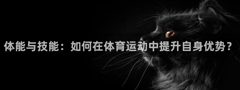 米兰体育官方正版app科技：体能与技能：如何在体育运动中提升