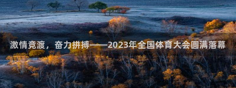 米兰体育官网下载平台注册流程图：激情竞渡，奋力拼搏—