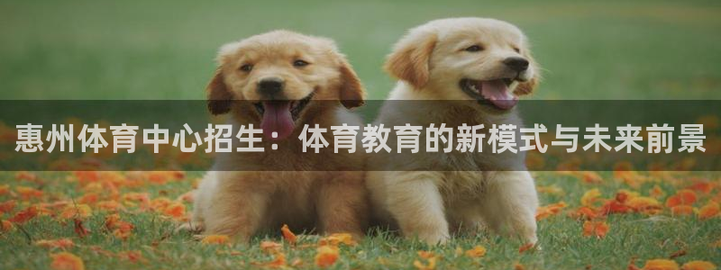 米兰体育官网下载软件：惠州体育中心招生：体育教育的新模式与未