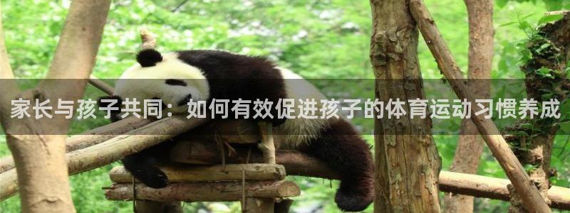 米兰体育官网下载平台注册要钱吗：家长与孩子共同：如何有效促进