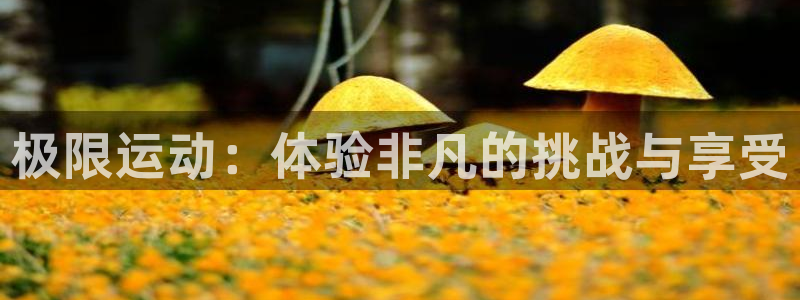 米兰体育官方正版app集团官网网址:极限运动:体验非凡的挑战