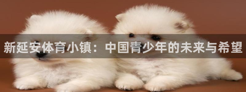 德国米兰体育官方正版app集团：新延安体育小镇：中国