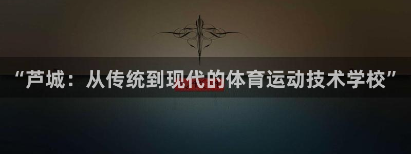 米兰体育官网下载平台注册流程图：“芦城：从传统到现代的体育运