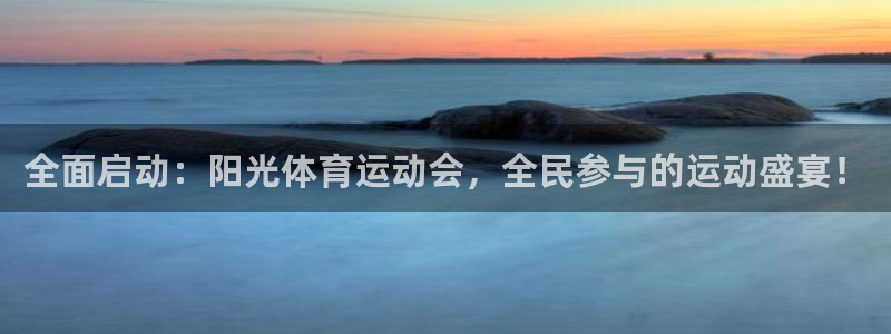 米兰体育官方正版app新能源