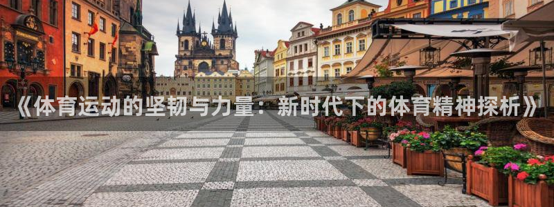米兰体育官网下载招商电话号码查询是多少：《体育运动的坚韧与力