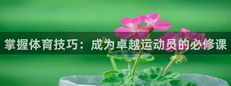 米兰体育官网下载招商电话地址：掌握体育技巧：成为卓越运动员的