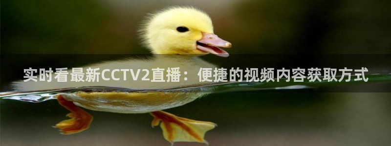 178体育赛事直播：实时看最新CCTV2直播：便捷的视频内容获取方式