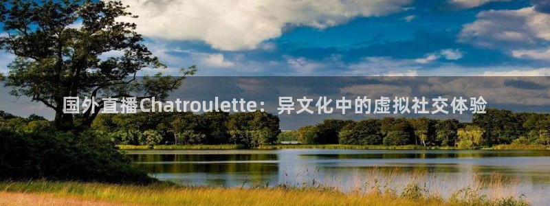 178体育nba直播：国外直播Chatroulette：异文化中的虚拟社交体验