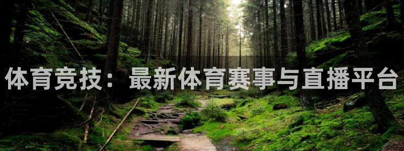 178直播体育足球在线观看：体育竞技：最新体育赛事与直播平台