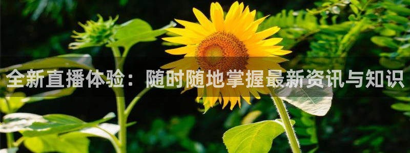 178直播体育艾伦直播：全新直播体验：随时随地掌握最新资讯与知识