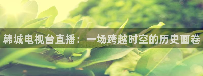 直播体育178：韩城电视台直播：一场跨越时空的历史画卷