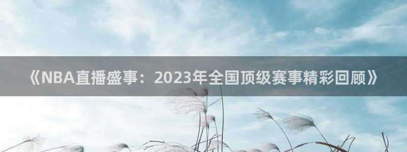 178足球直播360高清直播：《NBA直播盛事：2023年全国顶级赛事精彩回顾》