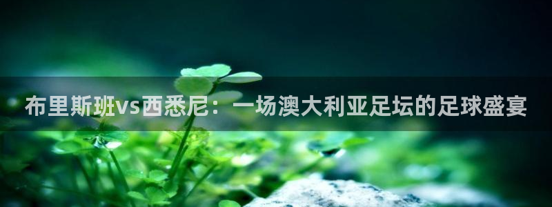 178体育在线直播官网：布里斯班vs西悉尼：一场澳大利亚足坛的足球盛宴