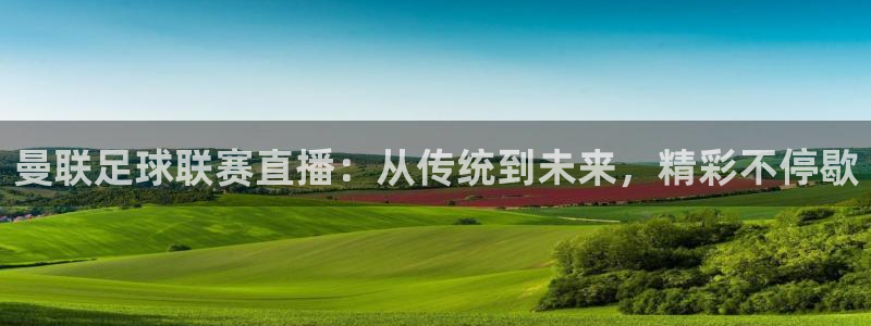 178篮球直播免费观看：曼联足球联赛直播：从传统到未来，精彩不停歇