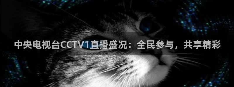 178足球在线直播视频直播：中央电视台CCTV1直播盛况：全民参与，共享精彩