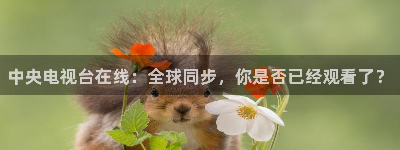 178体育直播下载：中央电视台在线：全球同步，你是否已经观看了？